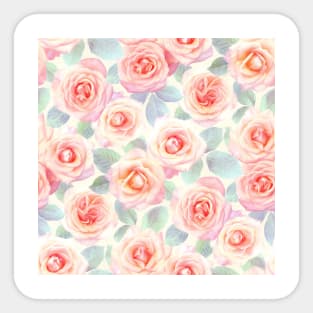 Faded Pink and Peach Painted Roses Sticker